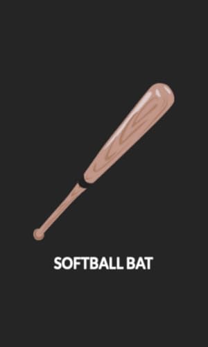 Softball Bat