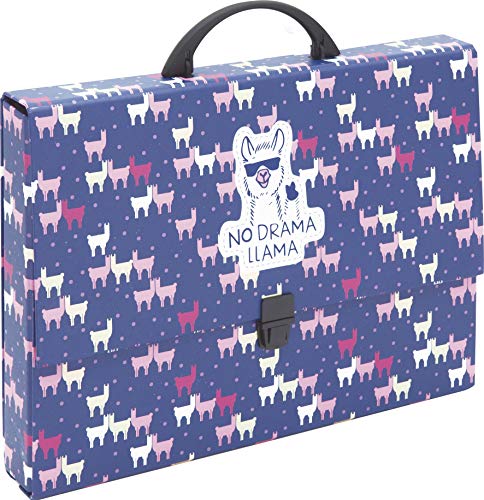 SPORTANDEM - Ordner aus Karton (300 g).