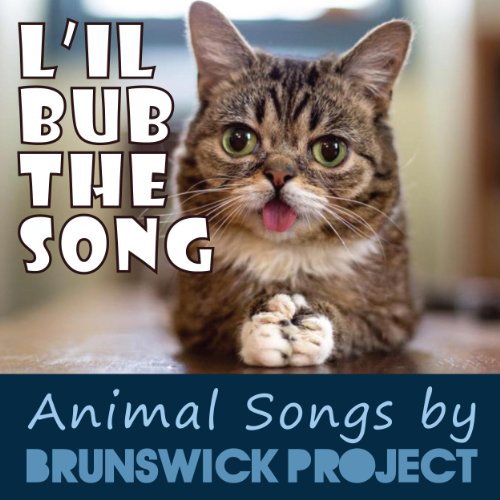 Lil Bub: The Song