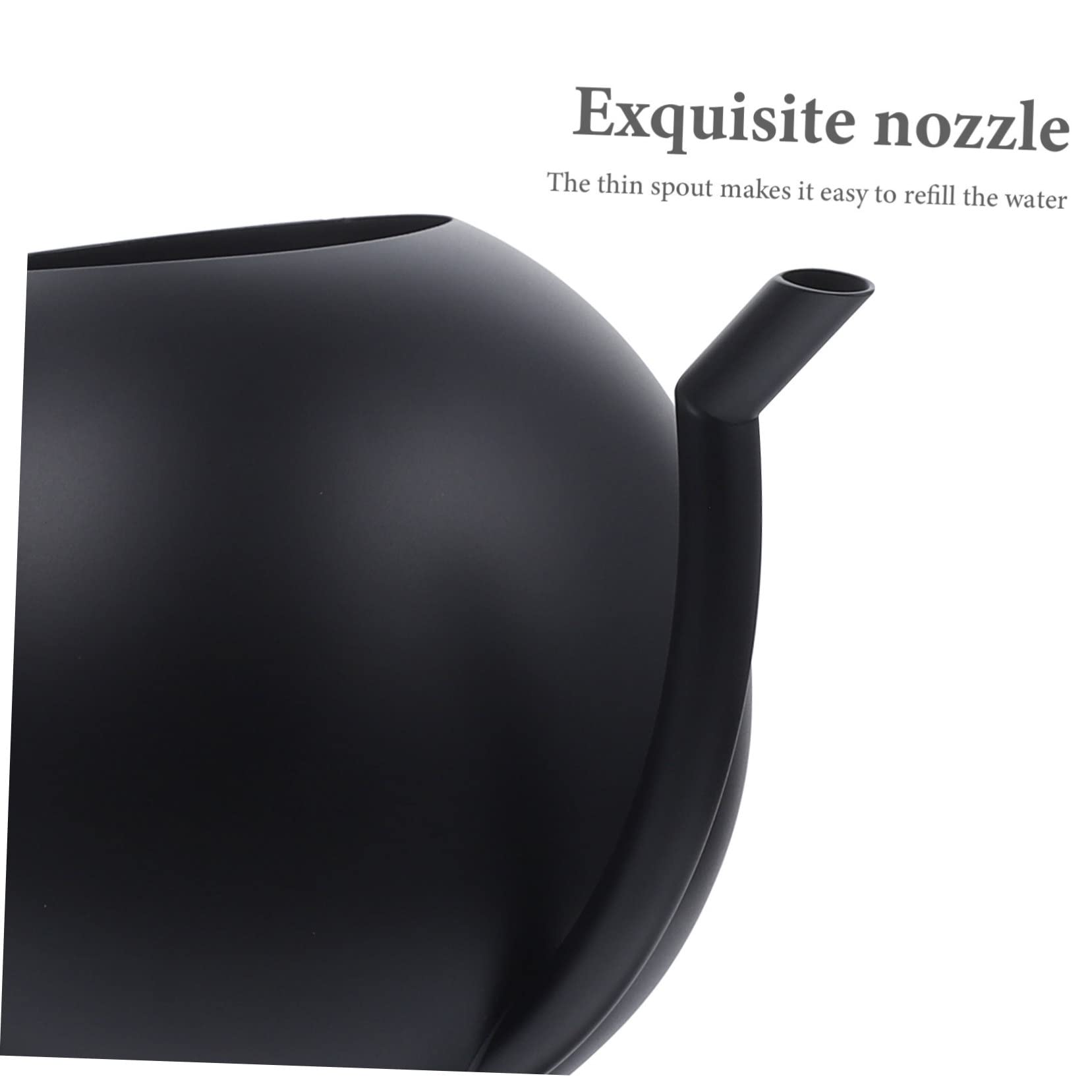 Arrosoir Simple 1l en Acier Inoxydable Noir pour Plantes et Maison