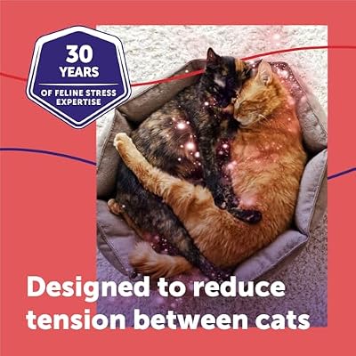 FELIWAY MultiCat 30 Day Cat Calming Plug In Pheromone Diffuser Starter Kit, 48ml - Helps Reduce Conflicts and Signs of Tension in Multi-Cat Households