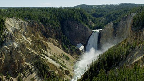Adventure Yellowstone: Der Ruf der Wildnis – 4K Blu-ray (UHD Blu-ray Disc)