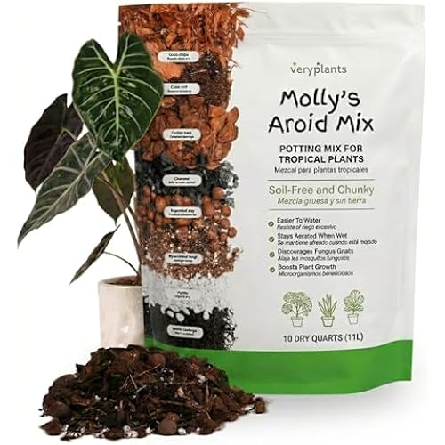 Molly's Aroid Potting Mix, Chunky Soil-Free for Indoor Plants 10 Dry Quarts