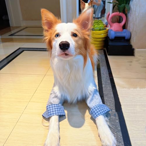 Image of Dog Elbow Pads Knee Protector Wraps Elbow Callus Treatment Sleeve for Wounds Front Legs Stop Licking Medium Large Dogs XL, Grey
