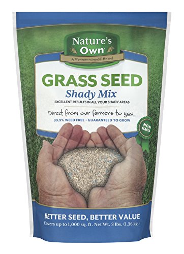 Mountain View Seeds Natures Own Shady Mix Grass Seed, 3-pounds 
