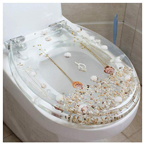 LFLYBCX Toilet Seat Elongated, Resin Toilet Seat Cover Quiet Slow Close,Resin Toilet Seat with Stable Hinges Easy to Clean and Install,for U/V/OType Toilet,Transparent