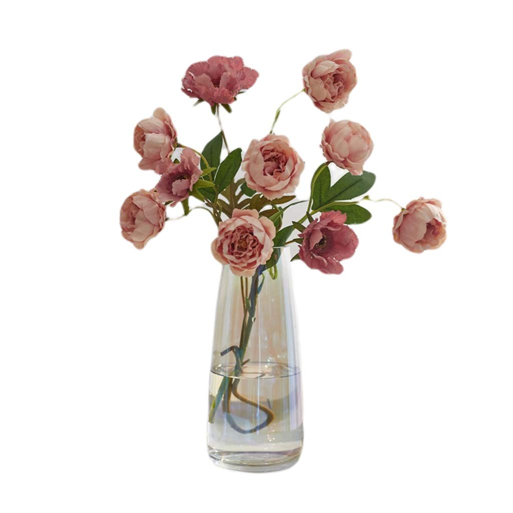 WYH Flower Vase Glass Vase Glass Container Vase Fillers Floral Containers Simple Decoration of The Vase in The Room Vase Decor (Color : A)