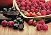 BROOKSIDE Dark Chocolate Candy, Goji & Raspberry, 7 Ounce (Pack of 4)
