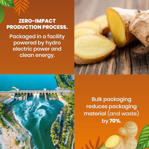 Image of Cederberg Tea Company Organic Ginger Tea - 30 Tea Bags | Organic Herbal Tea From Single Origin | Eco-Friendly Tea Bags | Non-GMO Caffeine Free Tea With Zero Sugar