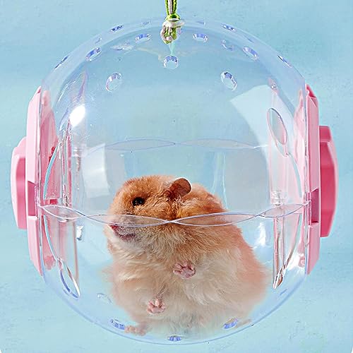bola corrida hamster,Bola roda para brinquedos exercício hamster anão - Brinquedos exercício para ha