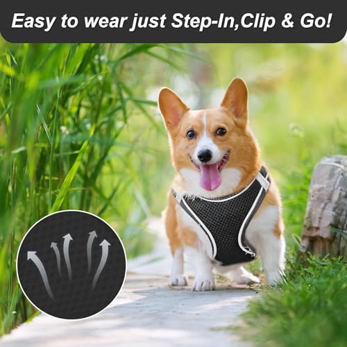 Ledeak No Pull Dog Harness, Highly Reflective Dog Harnesses, Breathable Comfort Anti Pull Dog Harness - Image 3