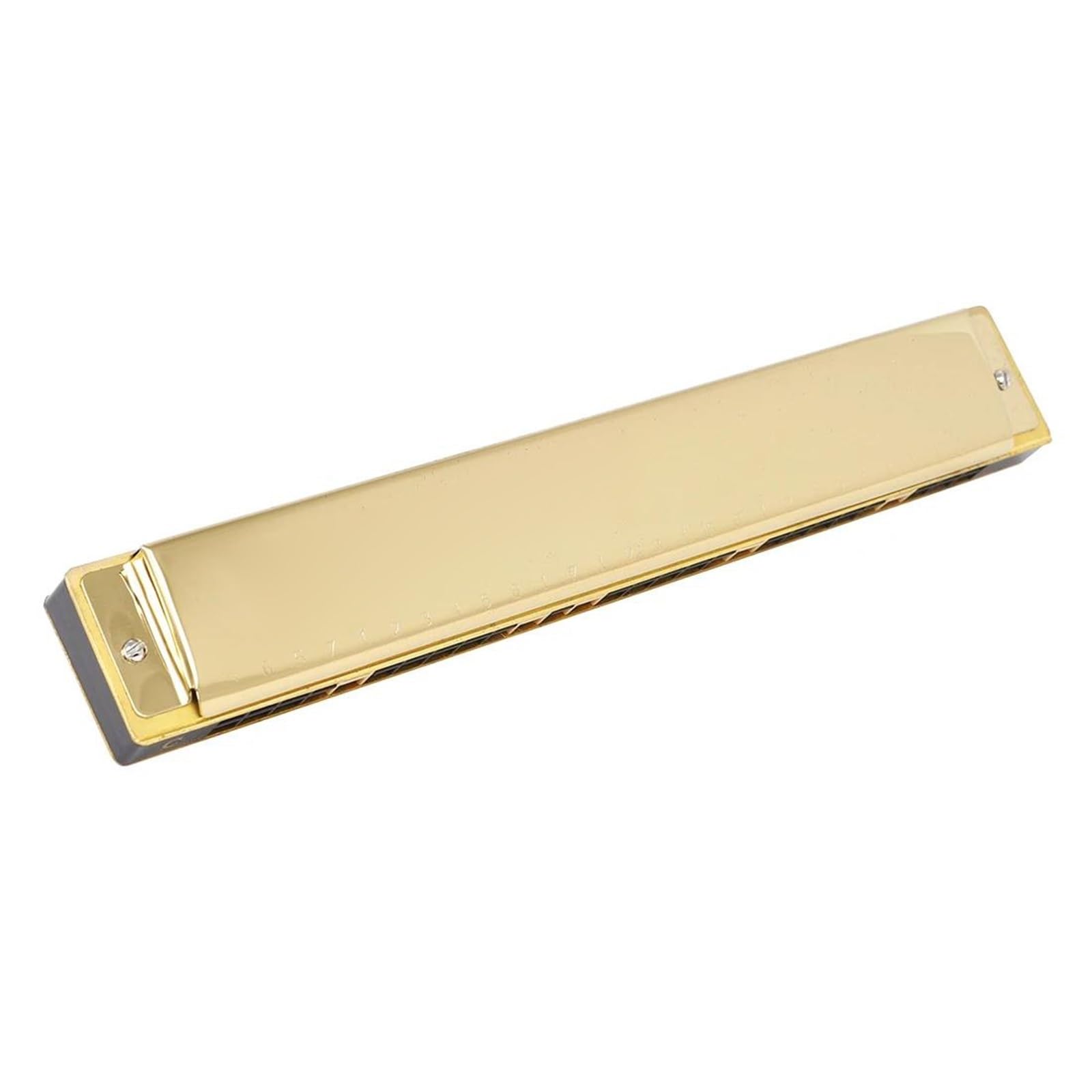 Armonica Blues Armonica A 28 Fori C Professionale | Armonica a 28 fori Polifonia C Principianti Strumenti a fiato professionali(Gold)