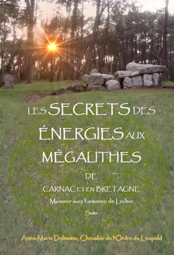 livre LES SECRETS DES ÉNERGIES AUX MÉGALITHES DE CARNAC ET EN BRETAGNE - Mesurer avec l’antenne de Lecher - Suite