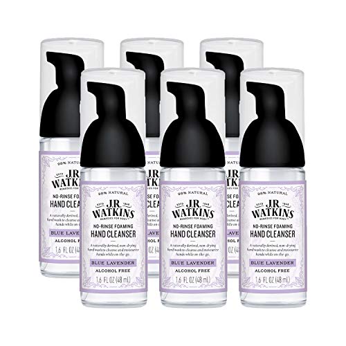 NoRinse Hand Soap The HassleFree Way to Clean Your Hands