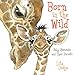 Produktbild Born in the Wild: Baby Mammals and Their Parents