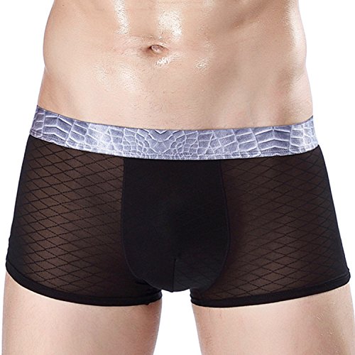 sandbank Men's Sexy Lingerie See Through Mesh Boxer Briefs Underwear Shorts