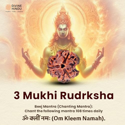 Image of Divine Hindu Original 3 Mukhi (Three Face) Indonesia Rudraksha | Teen Mukhi Rudraksh Bead for Meditation, Protection & Spiritual Growth | Natural Rudraksha for Men & Women | Prayer Bead for Success