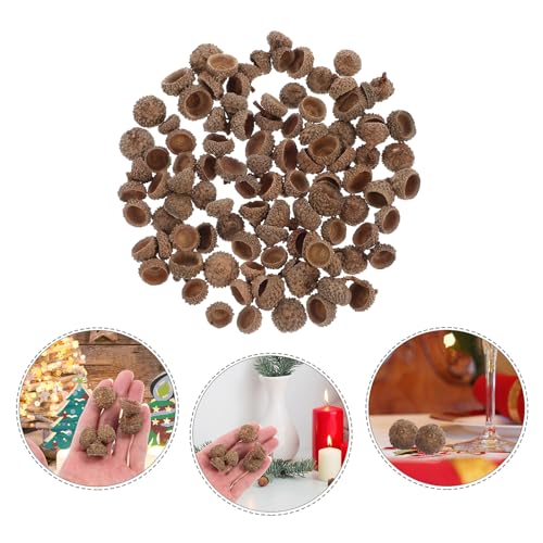 Adornos naturales de cáscara de bellota para manualidades 200 pzas miniatura 7