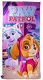 Sie sehen die Helden Skye und Everest aus der Kinderserie 