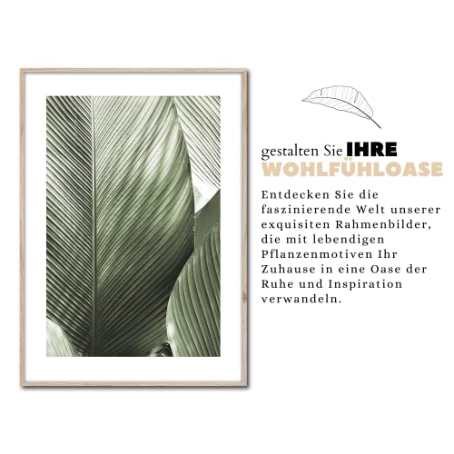 Rahmenbild Macro | Artbox Wandbild | Bild mit Holz Rahmen Optik Framepic | Macroaufnahme Pflanze mit großen Blätter XXL Aufnahme | Wohnzimmer Schlafzimmer Büro | grün weiß grau schwarz | 50x70 cm