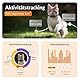 Weenect XS für Katzen - NEU Mini GPS-Tracker für Katzen | GPS-Tracking in Echtzeit | Ohne Distanzlimit | Kleinstes Modell auf dem Markt | Halsband inkludiert | Abonnement