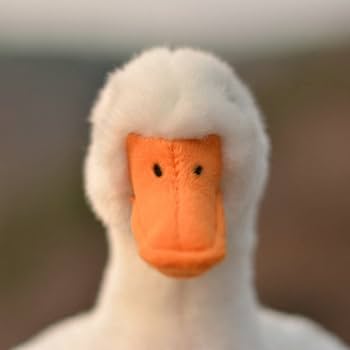 Amazon.co.jp: lilizzhoumax アヒルのぬいぐるみ、リアルなアヒルの Amazon.co.jp: lilizzhoumax アヒルのぬいぐるみ、リアルなアヒルの