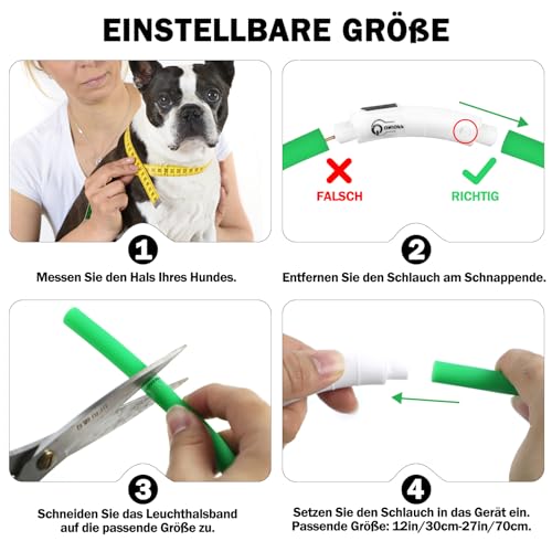 Nepfaivy Leuchthalsband Hund USB Aufladbar - Wasserdichtes Hundehalsband Leuchtend mit Verstellbarer Länge, LED Halsband für Hunde mit 3 Beleuchtungsmodi für Sicherheit, Mehrfarbig