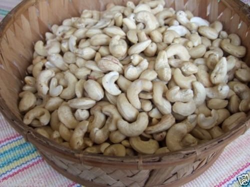 Amazon.com : Cashew Tree Seeds, Anacardium Occidentale, Rare