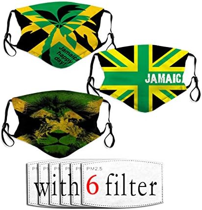 YILINGER Adjustable Washable Reusable with Filter Windproof Dustproof Face Mask for Adults