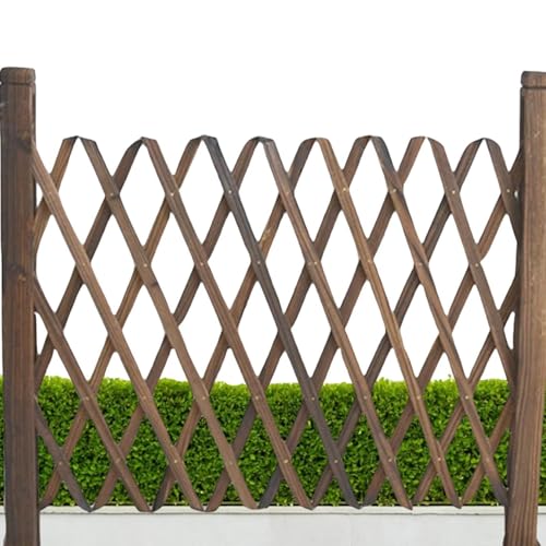 Rejilla de jardín – Protector de plantas de madera expandible, valla plegable de privacidad, marco decorativo de crecimiento, enredaderas, tomates, judías, césped, jardinera para exteriores