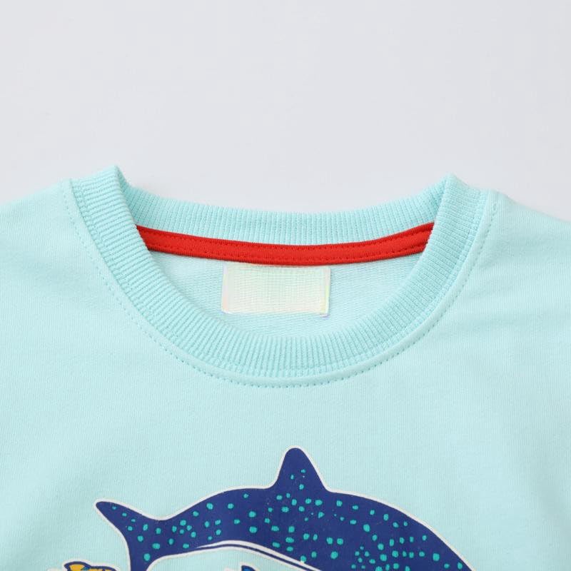 Toddler Boys Cute Luminous Shark Print Sweater Round Neck Long Sleeve Autumn Pullover Top4