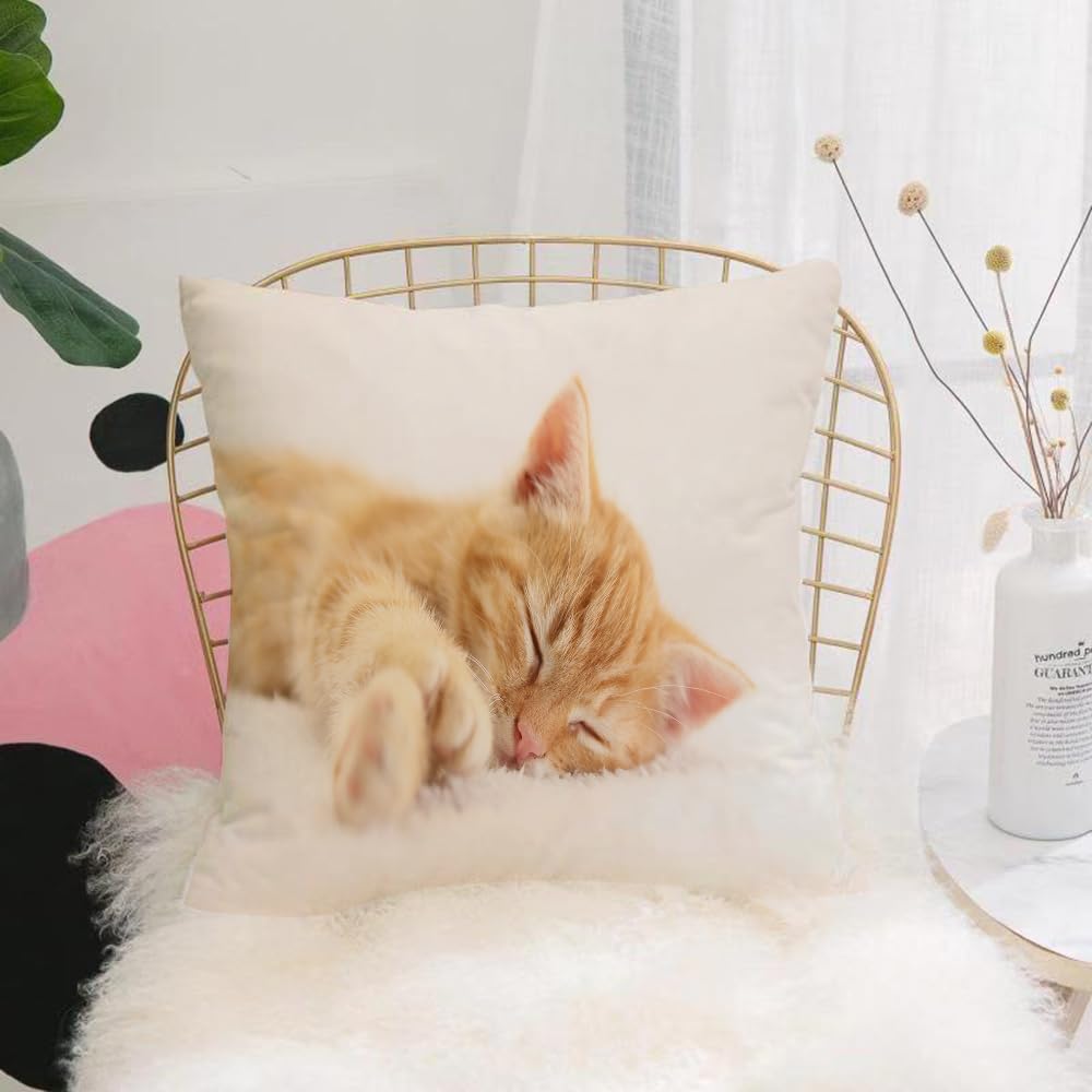 HYOSXW Cushion Cover,Throw Pillow Case Home Decorative for Living Room Bedroom Sofa Chair 16X16 Inch,Cat, orange cat sleeping soundly on soft velvet background,Pillowcase 40X40cm