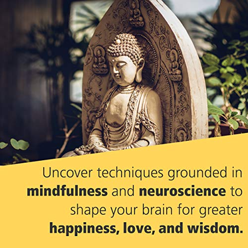 Image of Buddha's Brain: The Practical Neuroscience of Happiness, Love & Wisdom