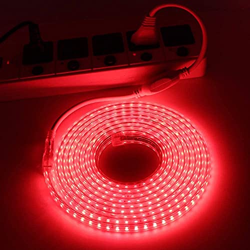Image of Gesto 10 Meter Rope Led Strip Lights - Outdoor Lights Waterproof for Balcony Decoration,Home Decor & Interior Decoration | Decorative Lights for Diwali Decoration,Cove Light for Ceiling (Red)