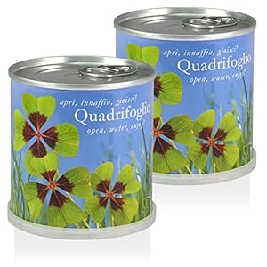Extragifts Fiori in lattina Set regalo – 2 x Quadrifoglio