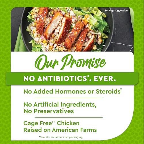 Image of Just Bare Chicken Lightly Breaded Spicy Breast Fillets | Fully Cooked |22 G Protein | Frozen |1.50 LB