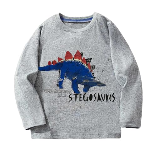 Generisch Jungen Hoodies Sweatshirts Dinosaurier-Print Langarm Casual Tops Für Kinder Weich Bequem Lockere Passform Alltagskleidung Outdoor-Aktivitäten Winter Kleidung (Grey, 6-7 Years) Generisch Jungen Hoodies Sweatshirts Dinosaurier-Print Langarm Casual Tops Für Kinder Weich Bequem Lockere Passform Alltagskleidung Outdoor-Aktivitäten Winter Kleidung (Grey, 6-7 Years)
