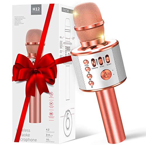 Top 10 Best Portable Karaoke Microphone Reviews For You Easy Tech Living