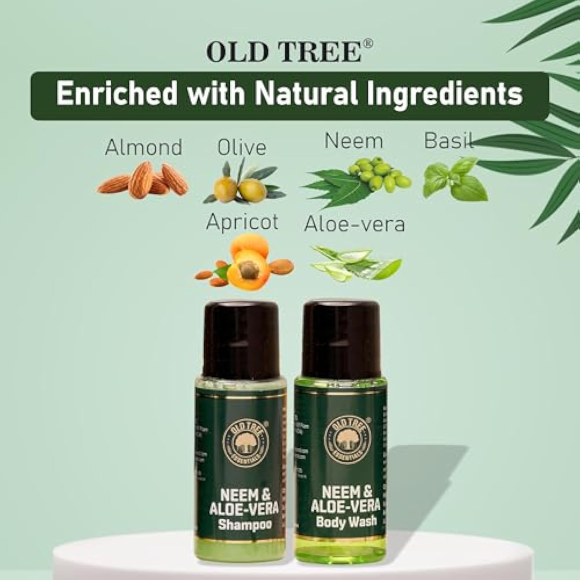 Aloe-Neem Bath Gel and Shampoo Combo 20ml Each - Set of 50