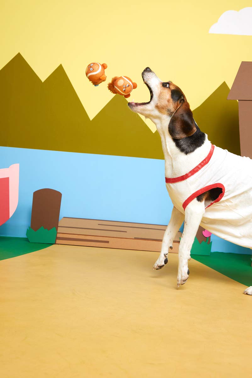 Barkbox Squeaker Ball Toys, Interactive Tennis Balls For