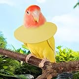 Zoom IMG-1 collare elisabettiano per pappagalli anti Zoom IMG-1 collare elisabettiano per pappagalli anti