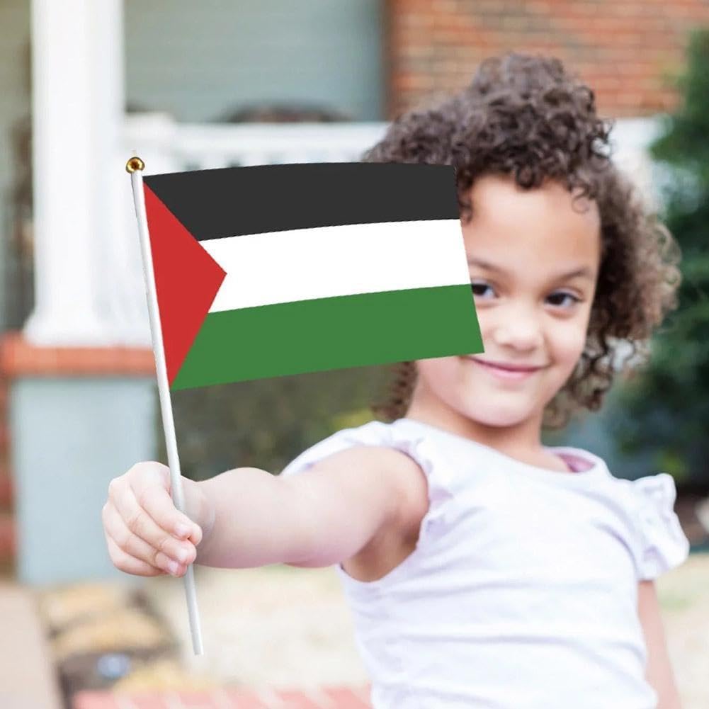 Palestina bandiera palestinese con palo I Stand mano sventolando