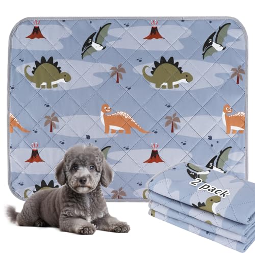 BVAGSS 2 Pezzi Tappetini Assorbenti per Cani, Tappeti Lavabili Riutilizzabili, Antiscivolo, Alta Assorbenza Addestramento traversine per cani XH081 (60x60cm,Grey Dinosaur)
