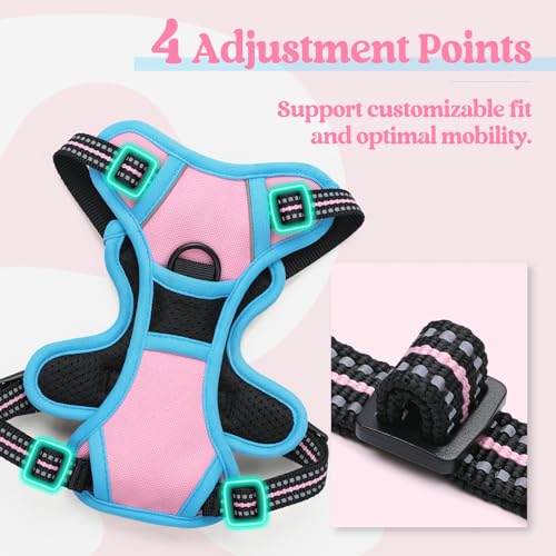 Image of rabbitgoo Dog Harness No Pull with 2 Leash Clips, Adjustable Soft Padded, Reflective Oxford No Choke Pet Vest with Easy Control Handle for Puppy, Pink & Blue, XS