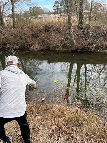Birdi Disc Golf Retriever Pole - XL 15 Foot extendable Pole - Durable Stainless Steel Frame - Top Disc Golf Accessory to Retrieve Discs in Water, Trees, Rocks, Bushes