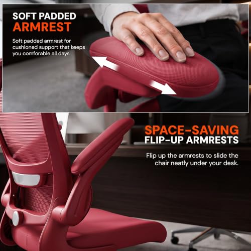 Image of DROGO Chrono Ergonomic Office Chair for Work with Adjustable Lumbar Support | Curved Back Breathable Mesh | Computer Chair With 120 Recline | 2D Padded Armrest & Heavy Nylon Base, 1-Yr Warranty (Red)