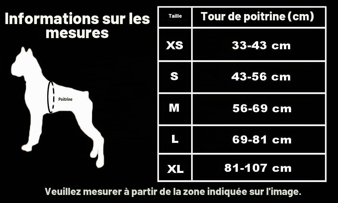 TRUE LOVE Harnais pour Chien en Nylon Souple Réfléchissant Réglable sans Traction pour Petit Grand Animal de Compagnie TLH5653(S, Bleu Camouflage)