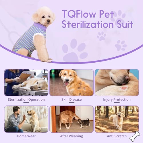 TQFlow Hundbody Nach Op, Body Hund Kastration Wundschutzanzüge Hündin Rüde, Wundschutz Professioneller Pet Recovery Suit, Operationsbody Hund Body Atmungsaktiv Hunde Einteiler (Grün und Lila,S)