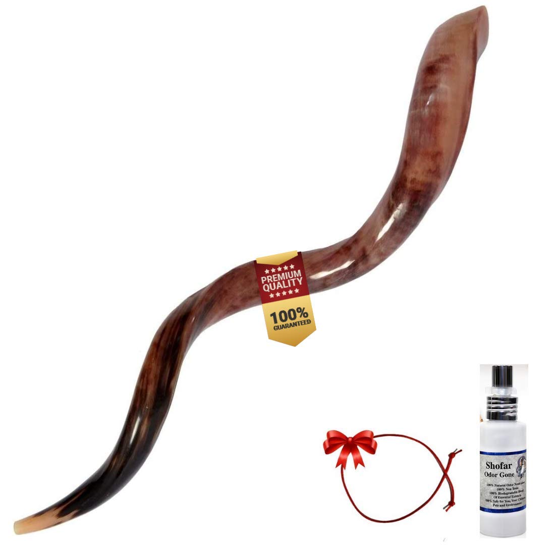 Eland Horn Natural Shofar Set, Plus Original Kabbalah Red String Bracelet from Israel, Plus Spray