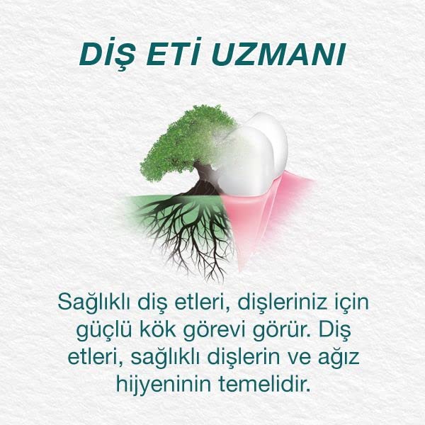 Himalaya Since 1930 Komple Bakım Bitkisel Diş Macunu, Florürlü, Parabensiz, Vejeteryan, Güçlü Dişler, 75 ml